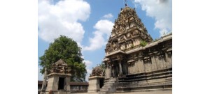 சிதம்பரம் அனந்தீஸ்வர்